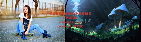 каннабис Нефтекумск