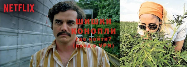spice Анжеро-Судженск