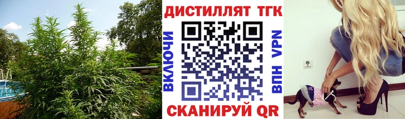 Дистиллят ТГК Wax Оренбург