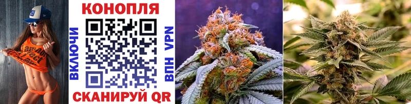 Каннабис SATIVA & INDICA  Оренбург 